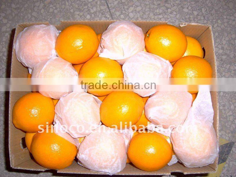 Newhall Navel Orange