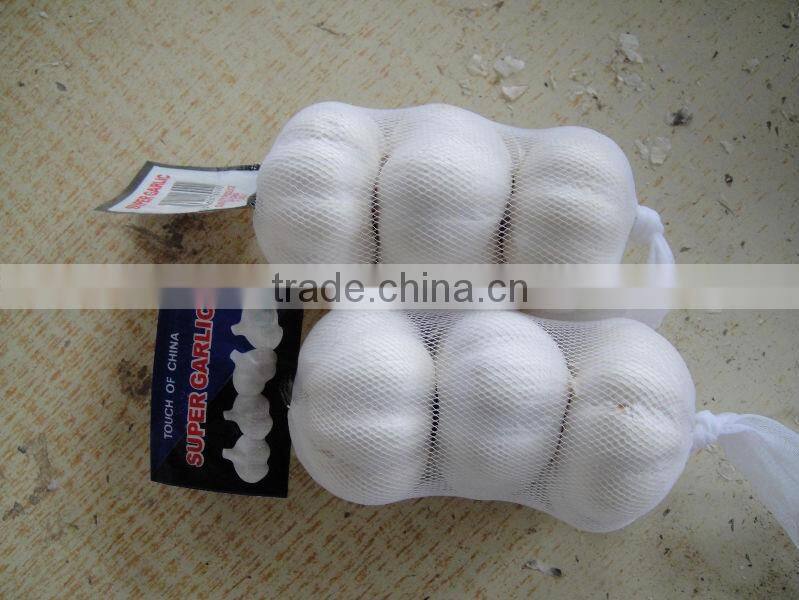 shandong fresh garlic for low price