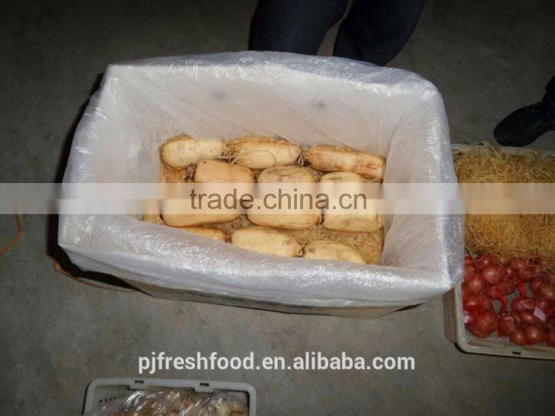 Bulk Package Lotus Root
