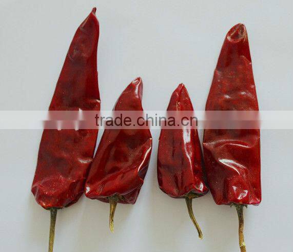 dry red hot chili