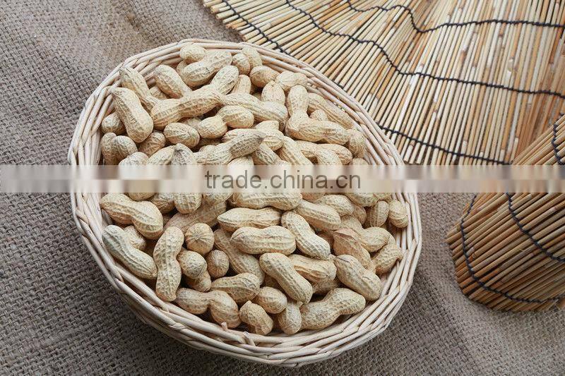 Selected Peanuts INSHELL