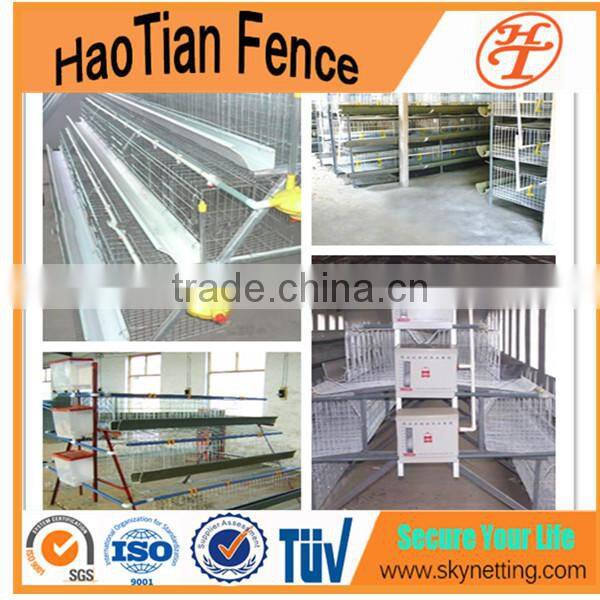 design chicken egg cage for layers for poultry farm bird cage for kenya farms