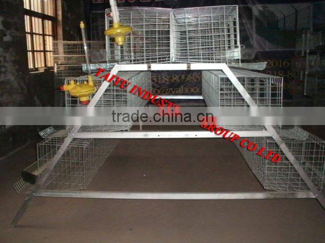 battery egg chicken cage