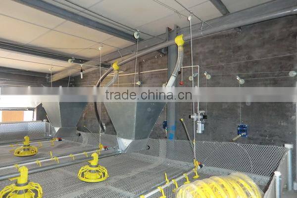 Huabo silos for chickens