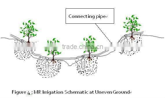 Fruit point underground irrigation