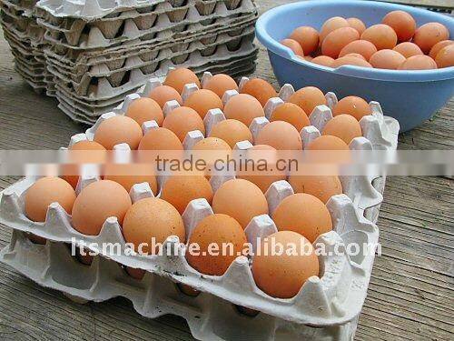 Paper Pulp Molding Machine(FS-ZJCX3)