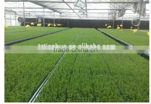 Latest Fashion top sell competitive price nursery seeding tray