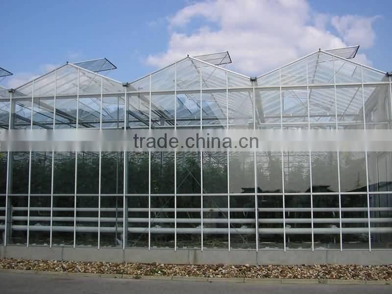 Multi span glass greenhouse for agriculture planting