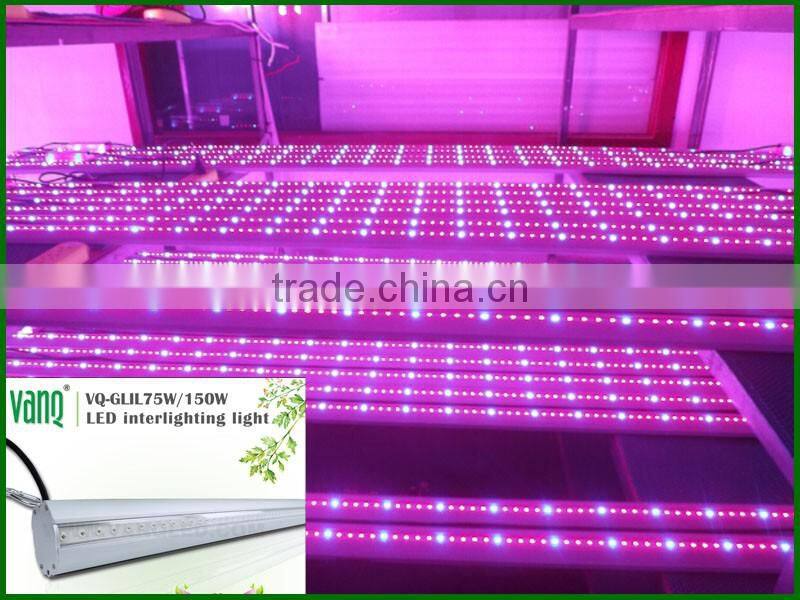 Modern agricultural equipments interlight grow light bar for cucumber greenhouse grow waterproof
