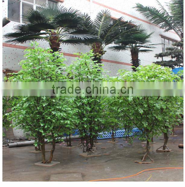 wholesale bonsai tree live ficus tree artificial bonsai banyan tree