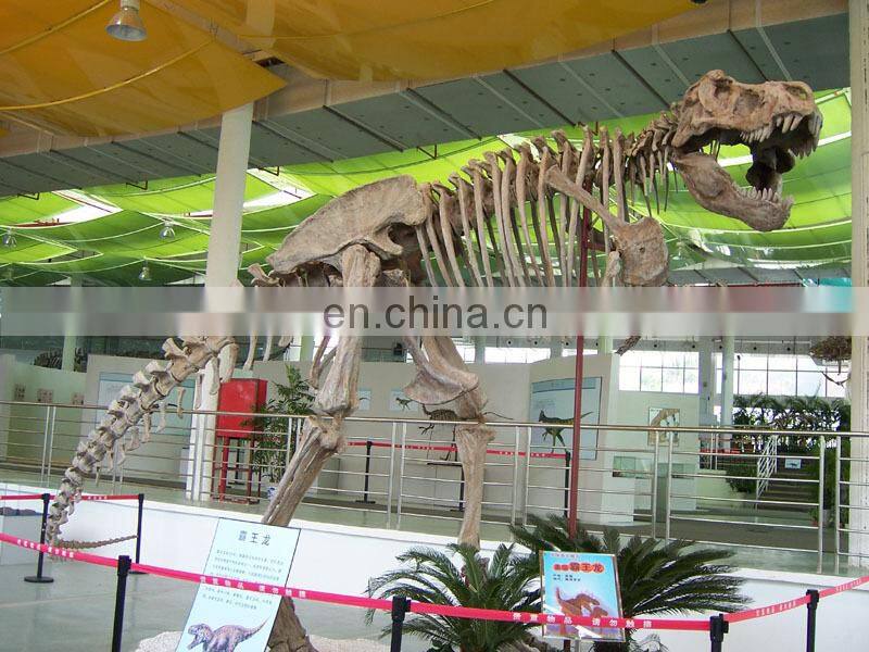2016 life size realistic t-rex dinosaur skeleton model for sale
