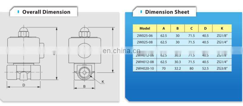 2W025-08 Solenoid Valve mini water solenoid valve 1/4 inch Solenoid Valve