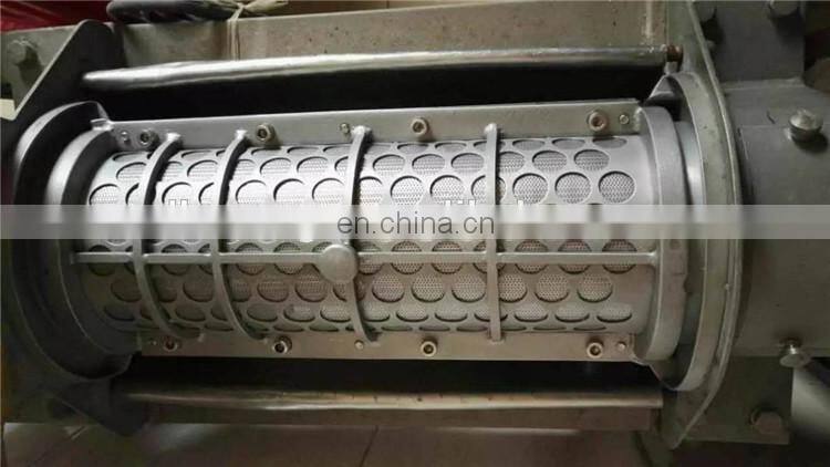 304 Material Industrial Cold Press fresh vegetable and fruit juicer with best price