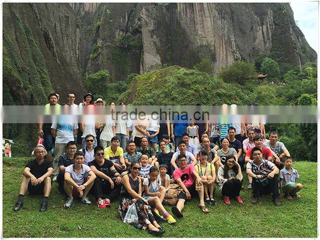 Xiamen The Full Servo Prefabricated Bags Paper Sanitary Napkins Packaging Machine Paper Paking Machine