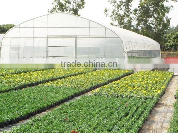 Sainpoly Hot Sale PE Covered Agricultural Single Span/Muilti Span Film Greenhouse