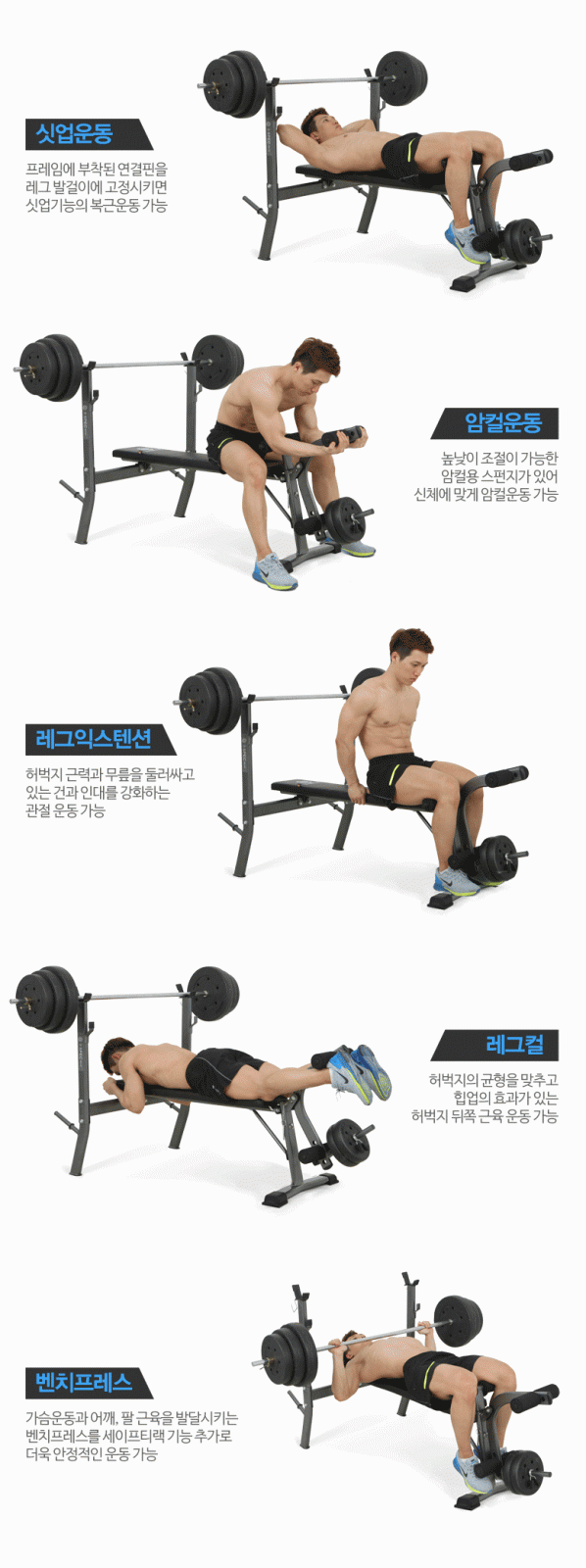 Super quality hot selling fitness workout sit up bench