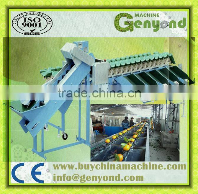 stainless steel small fruit weight sizing machine