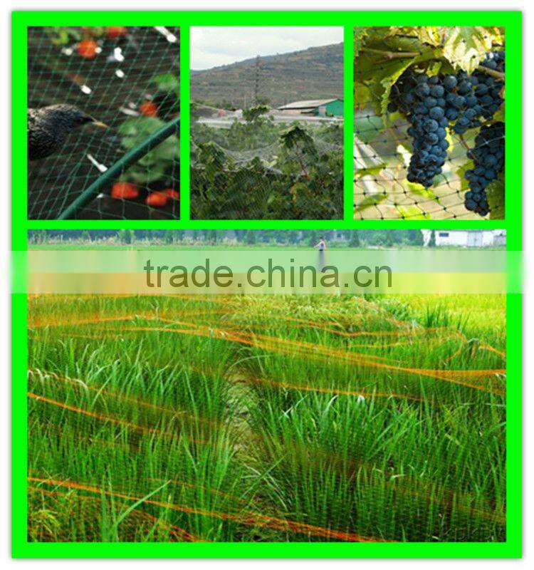 high quality virgin HDPE crops top cover anti-bird stretch net