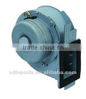 DC Brushless Motor(Lepuda motor)