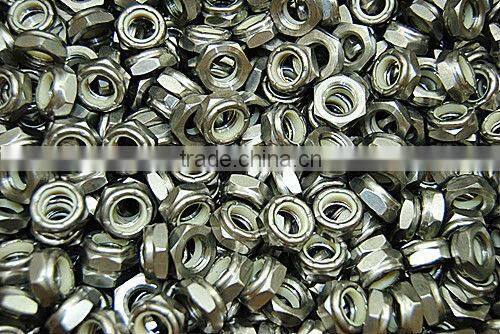 Stainless Steel Nuts