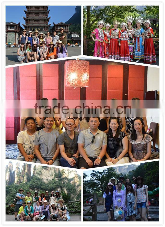 100*300 pure color ceramics wall tile from China factory with high quality