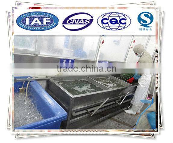 Sushi white shrimp (Vannamei)