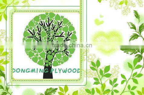 Decorative Purpose Decking Plywood