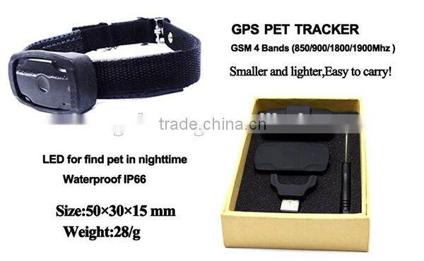 worlds smallest gps tracking device for pets and kids