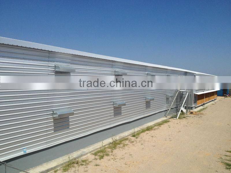 design layer chicken cages for poultry chicken farm