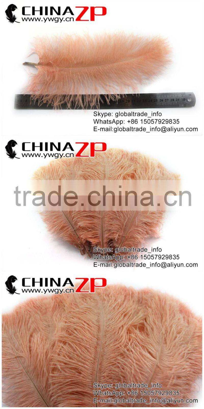 ZPDECOR Trade Assurance Leading Supplier Wholesale Size from 50-55cm Cheap Dyed Champagne Ostrich Feather