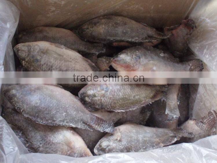 foods black frozen tilapia fish