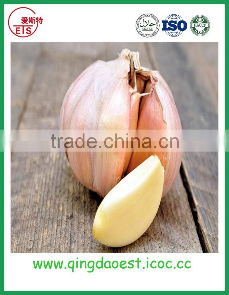 Chinese export hot sale tasty good sweet canned food canned strawberry on sale