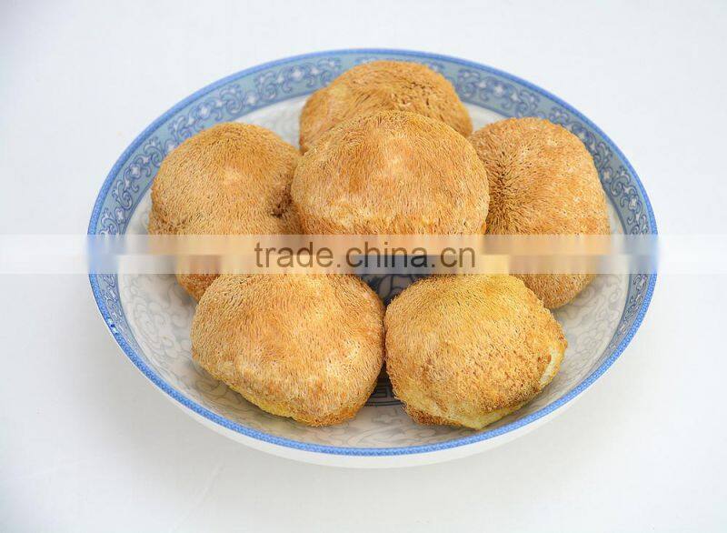100% pure lions mane/hericium erinaceus mushroom extract