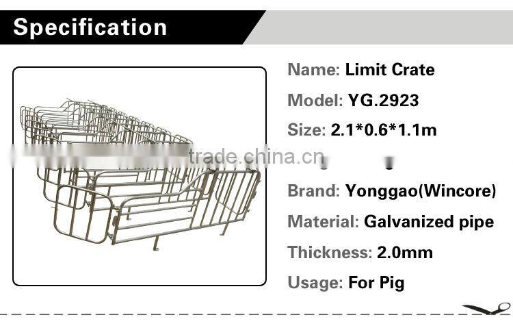 Pig Gestation Crate For Pig Farm Equipment,Poultry Equipment Sow Limitation Crate