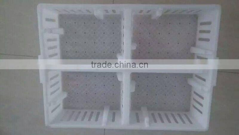 plastic chicken tranport stackable cage/box/crate for child chicken