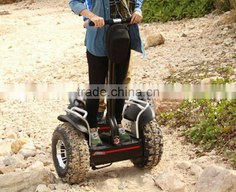 Electric Sport Scooter