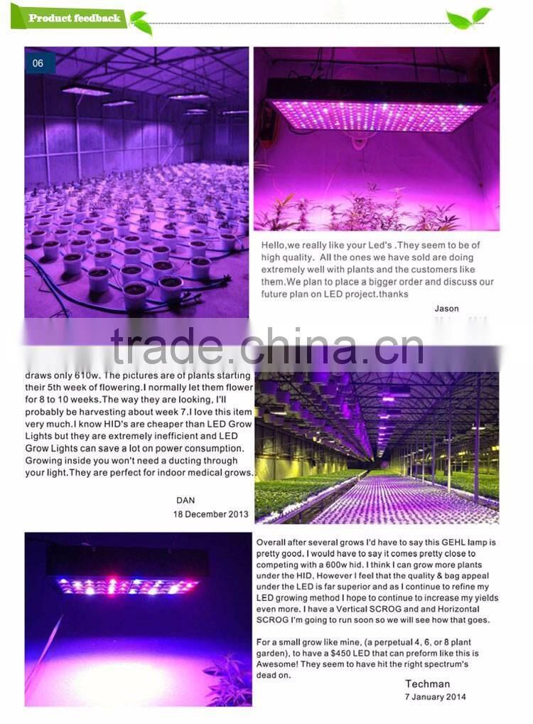 High power LED grow light