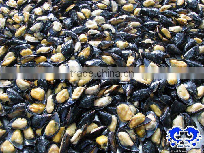 seafood frozen boiled vacuum packing mussel meat