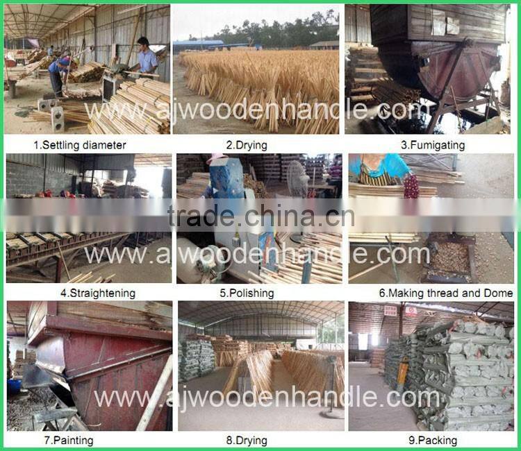 varnished wooden spade handle