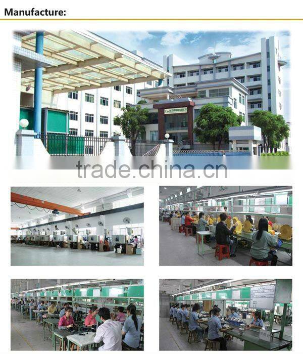 Air Blower for Inflatables