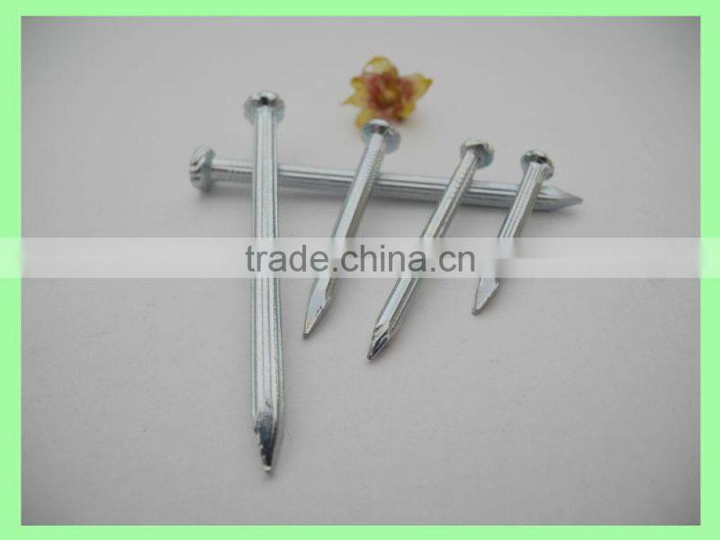 Steel Concrete Nails/Steel Nails China(factory and manufacturer)/linyi nails
