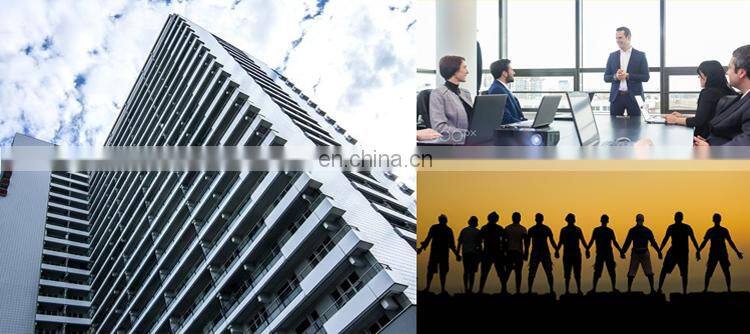 Standard 9 Spindles Glass Straight Line Bevelling Machine