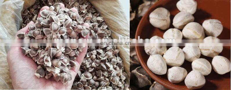 Energy efficient moringa seed dehuller machine with separating kernals and peels function