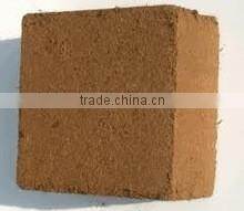 COCOPEAT FOR OIL ABSORBENT