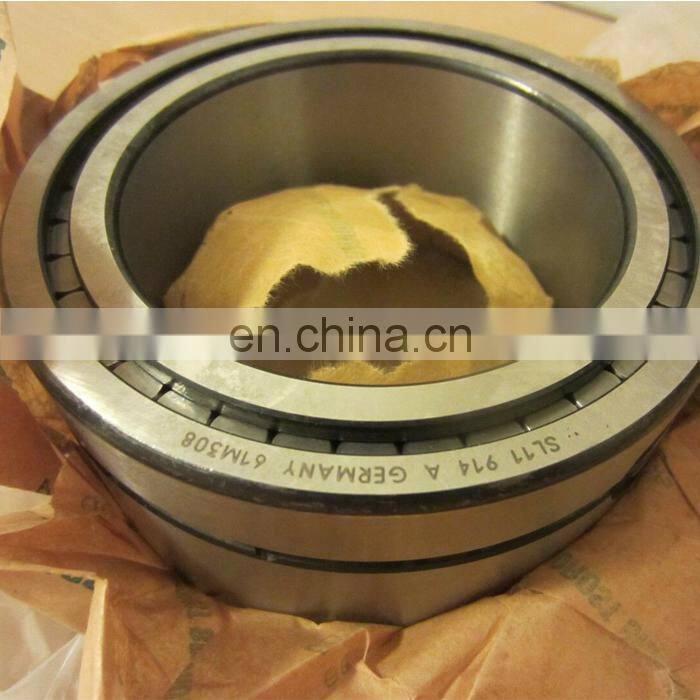 Cylindrical Roller Bearing SL15932 SL15 932