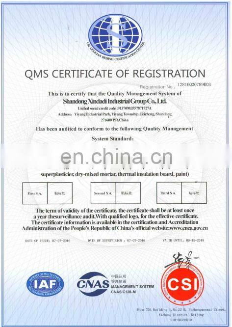 vinyl acetate ethylene copolymer redispersible polymer powder 505R5 similar with Ashland Aquapas N2028