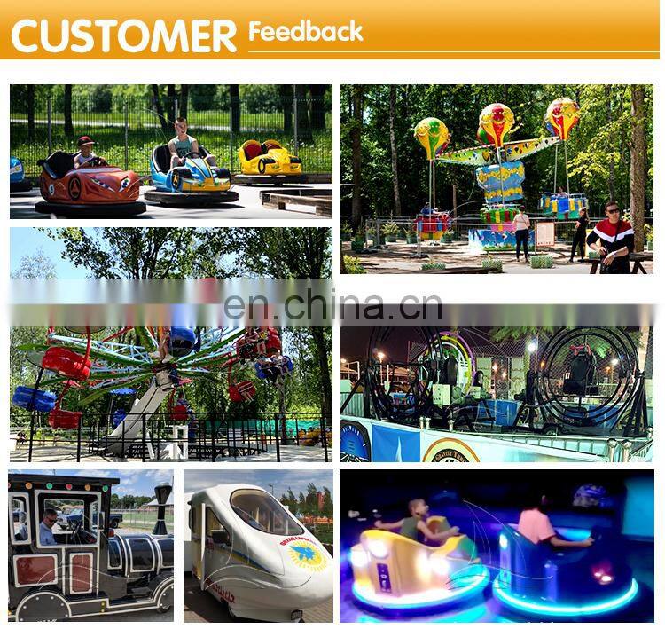 Thrilling amusement fun park rides ferris wheel ring car manufacturer
