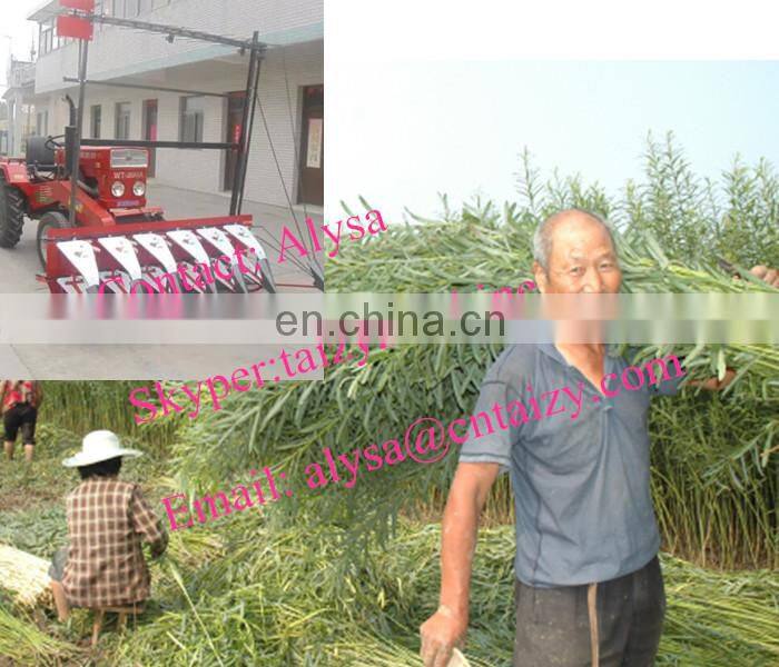 Factory Direct Sales small wicker/osier/willow combine new mini osier/willow combine harvester