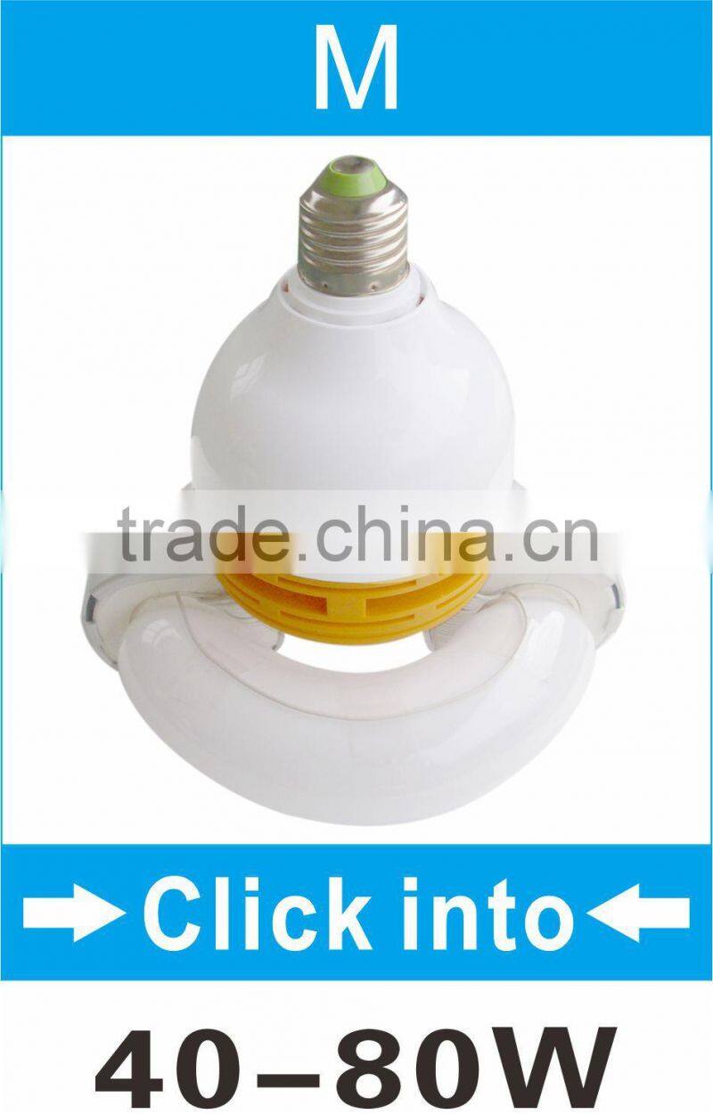 dimmer induction lamp