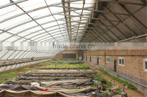 3m Height Energy Saving Straberry Greenhouse